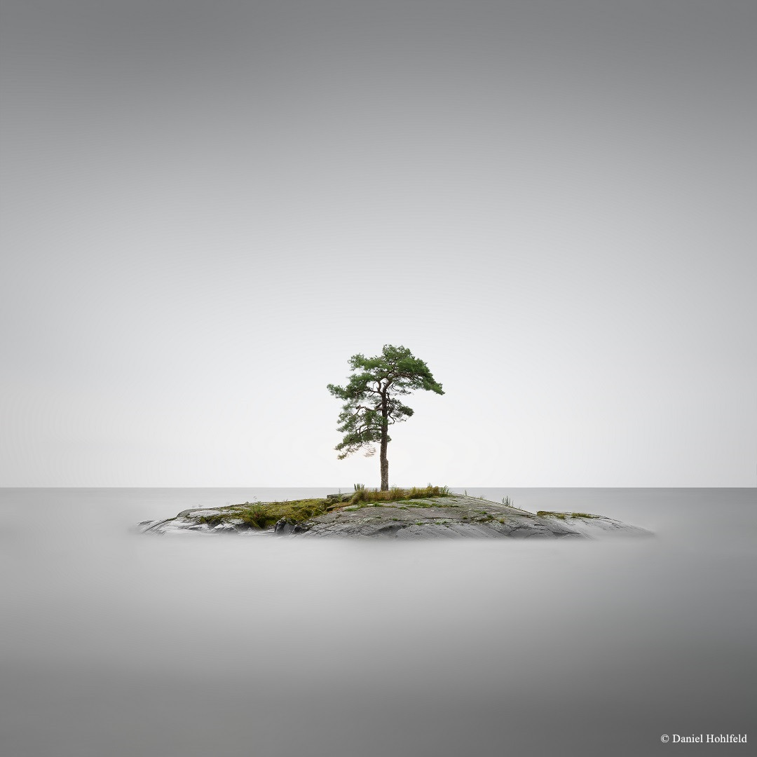 Daniel_Hohlfeld_Tree_Island_2 - Daniel Hohlfeld_副本.jpg