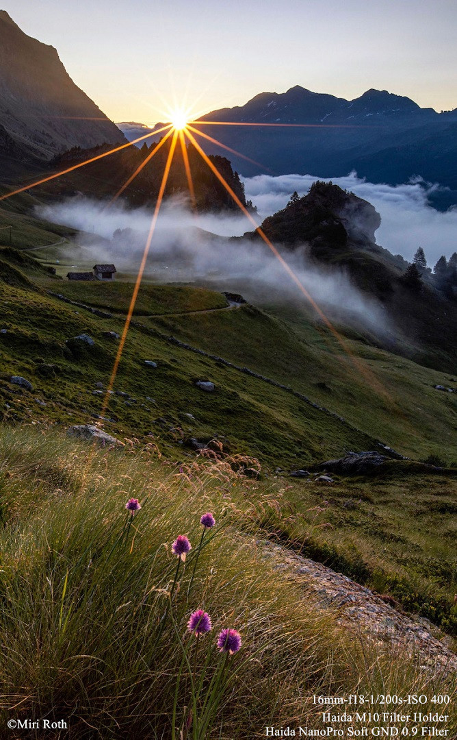 PlaundaLejSummerSunriseEngadin_副本.jpg