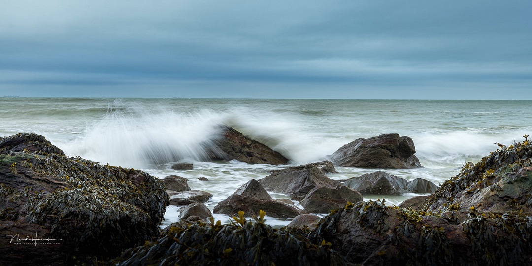 nando-haida-m10-ii-opal-coast-2.jpg