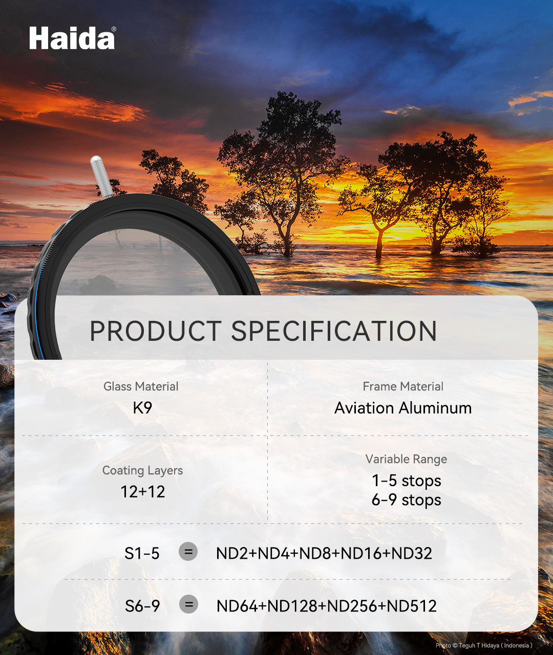 202501-NanoProS-VND1080x1280.jpg