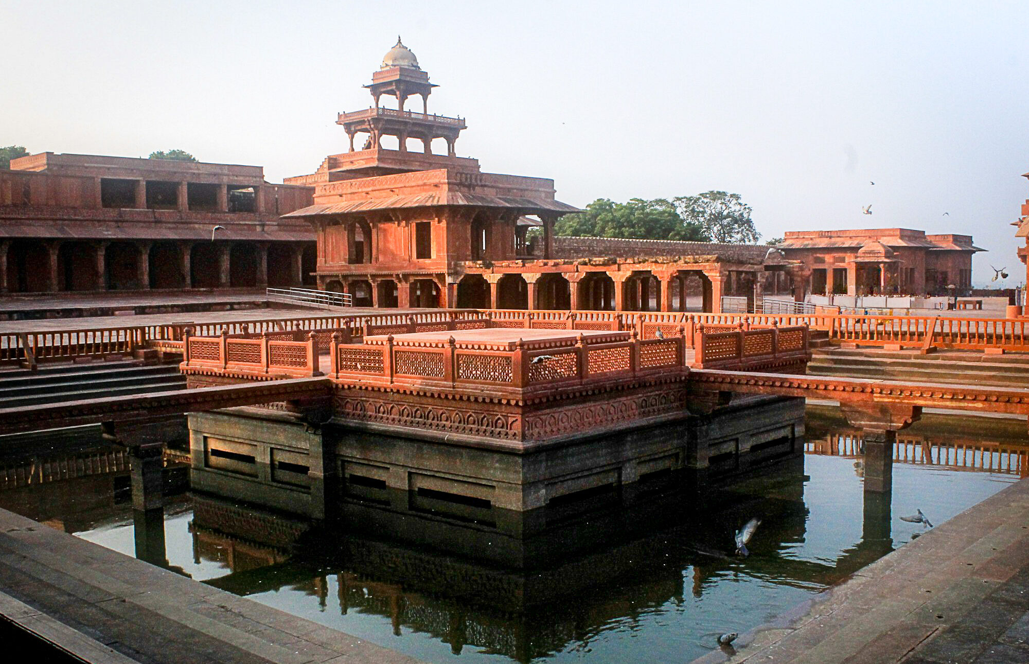 naveen-kumar-dusi-tsvjaIFFo1A-unsplash-Edit-2-1-e1739765226682.jpg